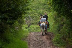 Iguazú Jungle Horseback Ride
