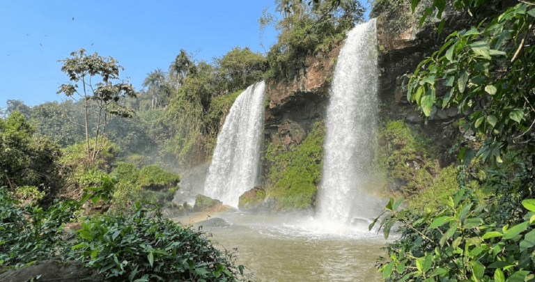 Is it convenient to rent a car to visit Iguazu Falls